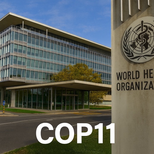 La COP11 de la OMS: información oficial y posición del sector